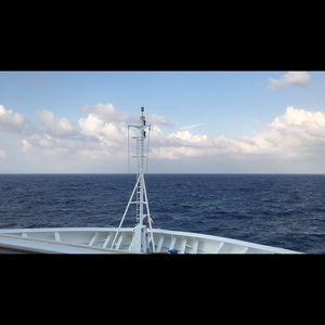 Meet your Posher, Cora